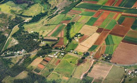 researchers flag gains   land  planning agrifutures