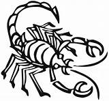Scorpion Coloring Pages Color Sheet Animals Printable Town Print Clipartbest Animal Back Popular sketch template
