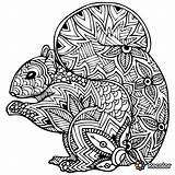 Zentangle Squirrel Ardilla Mosaico Imprime Colorea Desestresarte Prometo Va Zentangles Nena Afficher Corgi sketch template
