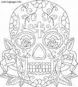 Skull Coloring Pages Bones Getcolorings sketch template
