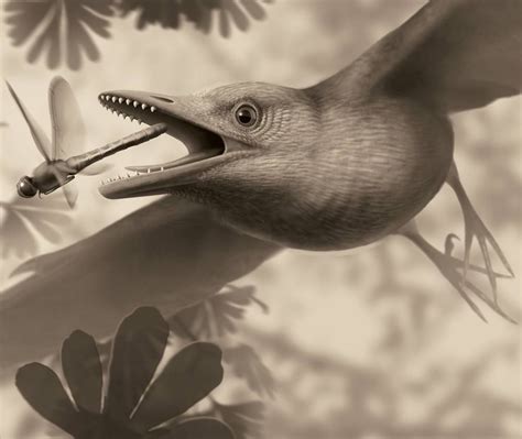weird  odd ancient bird  sharp teeth  science