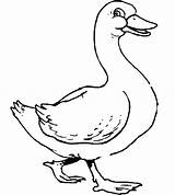 Goose Coloring Mother Pages Getdrawings sketch template