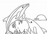Coloring Pages Dolphins Print Dolphin Kids Diposting Oleh Admin Di sketch template