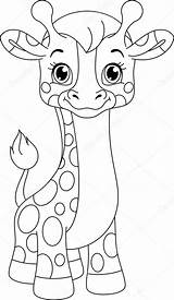 Jirafa Kleurplaat Giraf Colorear Ausmalen Jirafas Illustrations Tiernos Toy Giraffes Elefantes Weinig Martes Selva Bebé Basteln Necks Distinct Mammals Fáciles sketch template