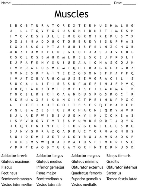 muscles word search wordmint