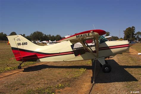 maule    encyclopedia  aircraft david  eyre