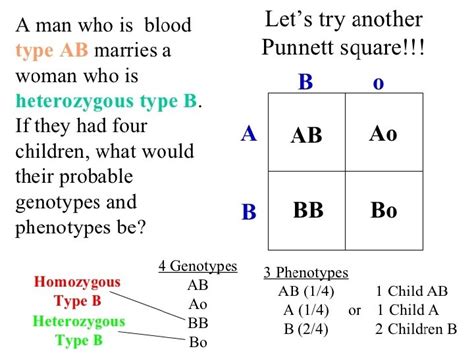 what is a punnett square and why is it useful in genetics what is a