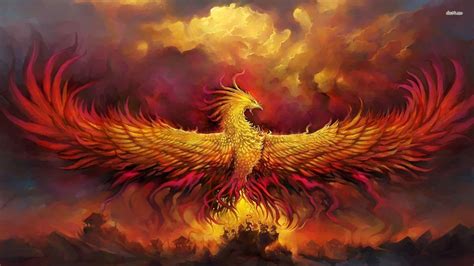 phoenix bird wallpapers  images