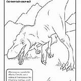 Coloring Carcharodontosaurus Pages Template sketch template