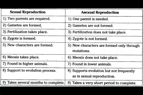 Different S Between Sexual Reproduction And Asexual Reproduction