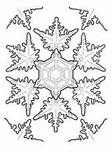 Coloring Snowflake Snowflakes Pages Printable Christmas Kids Fractal Amazing Bestcoloringpagesforkids Frozen Color Dover sketch template