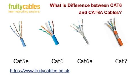 difference  cat  cata cables  fruity cables  issuu