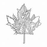 Leaf Maple Canadian sketch template