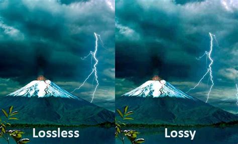 lossless file compression helps users maintain image quality