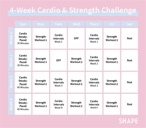 exercise workout chart   week   chart walls