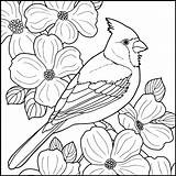 Coloring Cardinal Bird Pages Winter Drawing Printable Colouring Birds Cardinals Patterns Books Therapy Wood Red Crafts Nature Snowmen Drawings Wooden sketch template