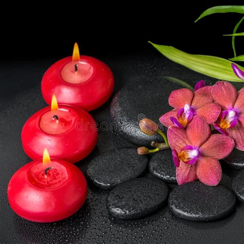 beautiful spa setting  twig red orchid flower phalaenopsis stock