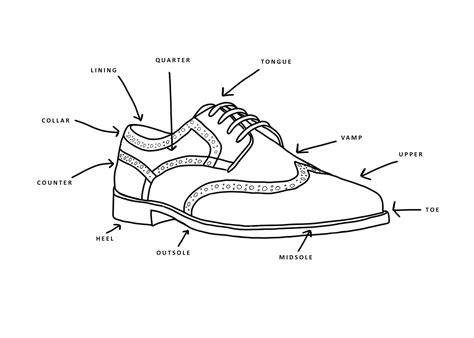 anatomy   shoe walk london