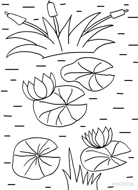 printable lily pad coloring pages  kids coolbkids