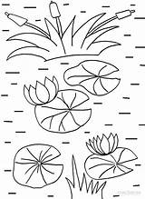 Lily Pad Coloring Pages Water Printable Kids Drawing Flower Monet Template Frog Clipart Cool2bkids Print Lilies Lilypads Frogs Pads Color sketch template