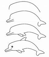 Dolphin Drawing Draw Step Dolphins Simple Delfin Animals sketch template