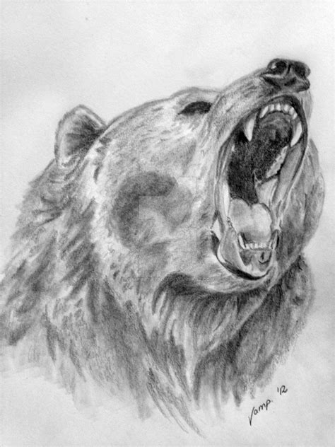 realistic bear drawing  vempiretattoo bear drawing bear sketch