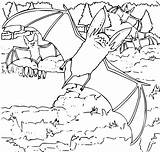 Onlinelabels Ozark Bat Eared Coloring Clip Book Big sketch template