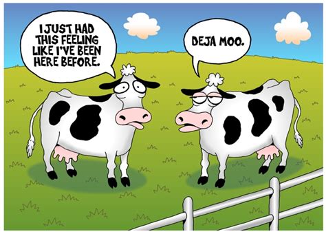 Cow Cartoon Two Cows In Pasture Talking Deja Moo Cartoon Silly