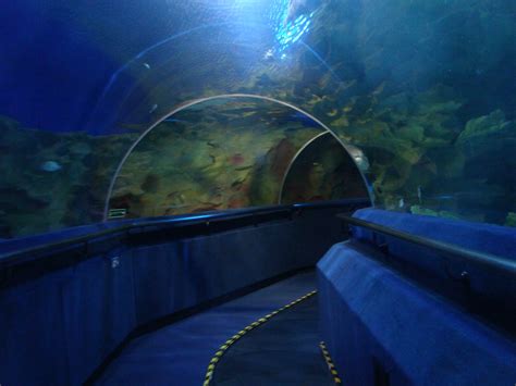 aquaria klcc malaysia enidhi india travel blog