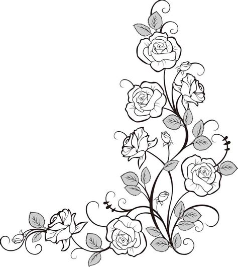 rose vine drawing  getdrawings