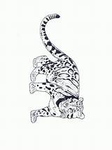 Jachtluipaard Dieren Colorare Cheetah Felini Gepard Malvorlagen Guepard Mewarnai Citah Coloriages Tigri Leoni Animasi Ghepardo Animierte Bergerak Animaatjes Jachtluipaarden Ghepardi sketch template