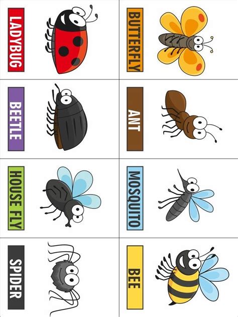 bug printables printable templates