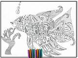 Coloring Fish Pages Adult Detailed Library Clipart Popular sketch template