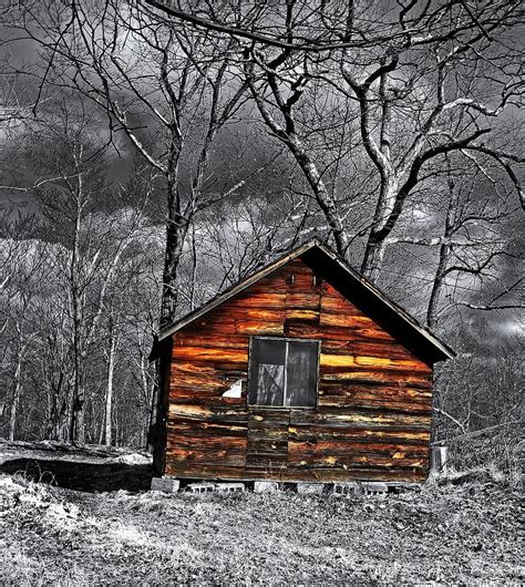 cabin   woods photograph  dave sandt fine art america