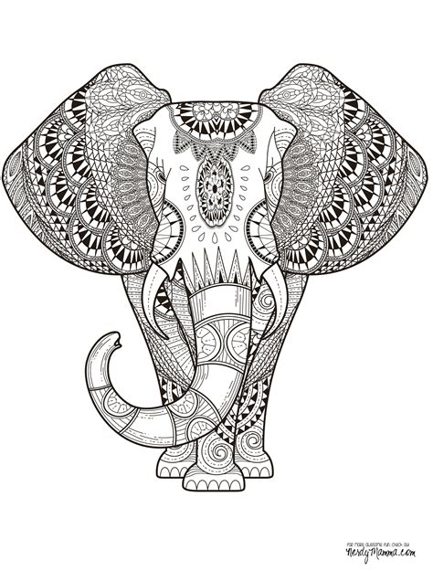 animal mandala coloring pages paisley coloring pages mandala