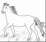 Horse Coloring Pages Mustang Appaloosa Wild Printable Horses Pony Quarter Pretty Herd Cute Color Getcolorings Getdrawings Paint Print Sheets Colorings sketch template