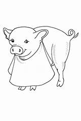 Pig Coloring Roast Stencils Pages Choose Board sketch template