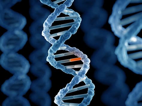 death risk increased  rare genetic mutation finds study  independent  independent