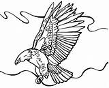 Eagle Coloring Bald Flying Around Pages Drawing Color Eagles Clipart Netart Bird Getdrawings Clipartmag Getcolorings Choose Board sketch template