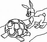 Tortoise Hare Coloring sketch template