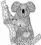Koala Dieren Kleurplaat Coloring Kleurplaten sketch template