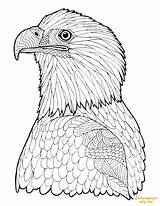 Coloring Eagle Advanced Adult Pages Bald Printable Zentangle Adults Hard Color Online Print Getcolorings Coloringpagesonly sketch template