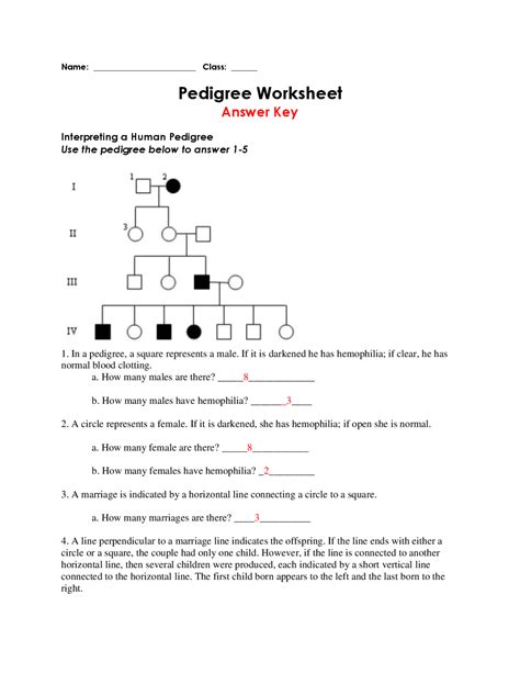 pedigree worksheet  answer key docsity