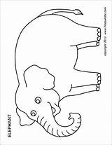 Elephant Firstpalette Pygmy Hippopotamus sketch template