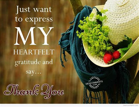express  heartfelt gratitude   desicommentscom
