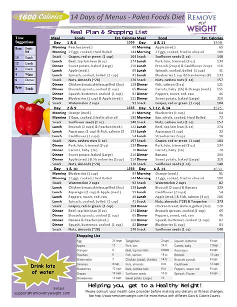 day  calorie diet plan  paleo foods  weight loss menu