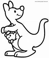 Kangaroo Baby Coloring Pages Clipart sketch template