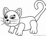 Coloring Siamese Pages Parade Pet Coloringpages101 Toys sketch template