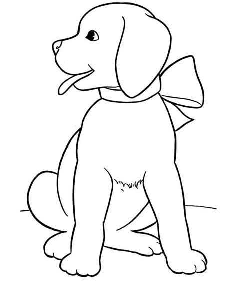 animal colouring pages   print  premium