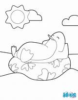 Raft Coloring Sunning Penguin Pages Hellokids Print Color Online Animal sketch template